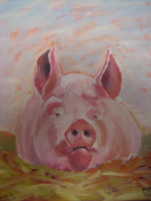 pig